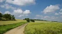 Primăria Comunei Golăiești